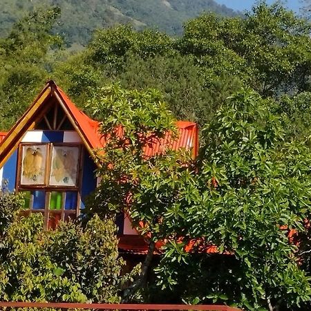 اباغويه Hospedaje Rural Tupinamba المظهر الخارجي الصورة