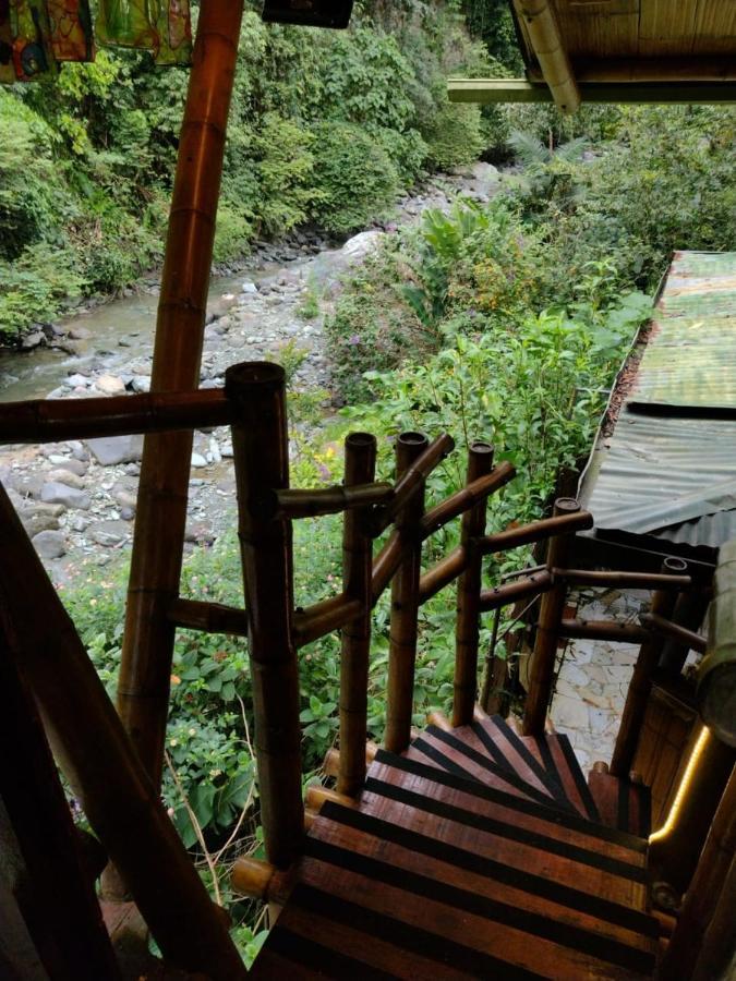 اباغويه Hospedaje Rural Tupinamba المظهر الخارجي الصورة